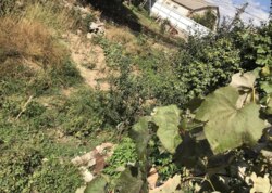 ������ �������� ������ �� ������� �������� ���� 12