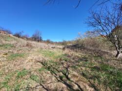 ��������� ������ ����� ������, ³�����, ³�������, �����������, ����� ���� ���� 4