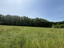 Продаж земельної ділянки в селі Бохоники по вулиці Медова, площею 10 соток, сільськогосподарського призначення, поряд з лісом фото 9 Продаж земельної ділянки в селі Бохоники по вулиці Медова, площею 10 соток, сільськогосподарського призначення, поряд з лісом фото 9