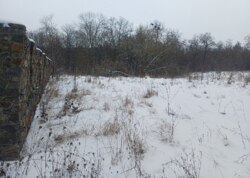 ������ �������� ������ ������������ ����������� ���� 5