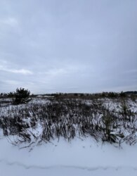 Продаж земельної ділянки під житлову забудову на 7-й пров. Леонида Каденюка фото 10 Продаж земельної ділянки під житлову забудову на 7-й пров. Леонида Каденюка фото 10