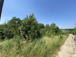 🌲    8      !  7