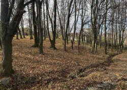 ������ �������� ������ �� ������� �������� ���� 3