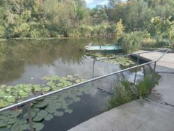 Продам земельний участок на березі річки. фото 1 Продам земельний участок на березі річки. фото 1