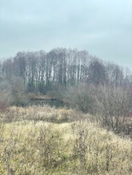 ������ �������� ������ 6 ����� ������ �������� ³������� �������. ���� 8