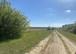 Продаж земельної ділянки сільськогосподарського призначення фото 1 Продаж земельної ділянки сільськогосподарського призначення фото 1