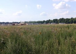 ������ �������� ������ �� ������� �������� ���� 1