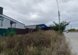 ������ �������� ������ ������������ ����������� �� ����������� ����, ����� 24 ����� ���� 24