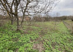 ������ �������� ������ �� ������� �������� �� ���. ������� ���� 7