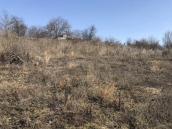 ĳ����� ��������. ���� 2