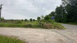 ������ �������-������ �������� ������ ������������ ����������� �� ���� �����������, ����� 1 �� ���� 3