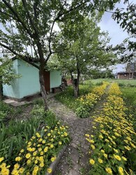 Продаж земельної ділянки сільськогосподарського призначення, на вул. Виноградна фото 2 Продаж земельної ділянки сільськогосподарського призначення, на вул. Виноградна фото 2