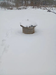 ������ �������� ������. ���� 7