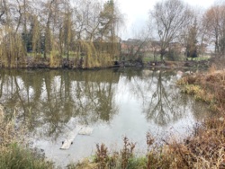 ������ ������ � ������������ ���� 7