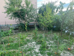 Продається ділянка Аграрна, Вінниця, Вінницька, Староміський, Старе місто фото 6 Продається ділянка Аграрна, Вінниця, Вінницька, Староміський, Старе місто фото 6