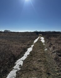 ������ �������� ������ �� ������� �������� ���� 6