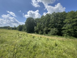 🌿 Продаж земельної ділянки 53 сотки | с. Лукашівка фото 3 🌿 Продаж земельної ділянки 53 сотки | с. Лукашівка фото 3