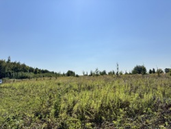 ĳ����� �������� ���� 5