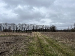 Продаж земельної ділянки вул. Сонячна фото 8 Продаж земельної ділянки вул. Сонячна фото 8