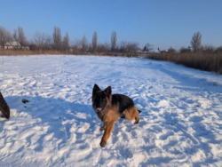 ������ ������ �� �������� � ������� ���� 7