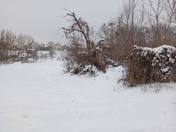 ������ �������� ������. ���� 5