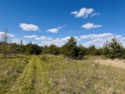 ĳ����� � ������� �������� ���� ���� 10