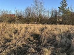 ������ ������ � ���������� ���� 15