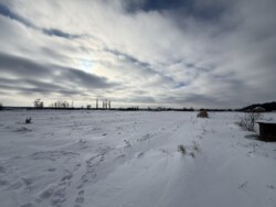 ������ ������ �� ������� �������� �.������� ���� 6