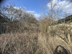 ������ ������ �.г���� ���� 1