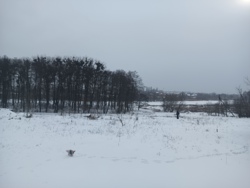 Продається ділянка Єсєніна, Вінниця, Вінницька, Передмістя, Стрижавка фото 4 Продається ділянка Єсєніна, Вінниця, Вінницька, Передмістя, Стрижавка фото 4