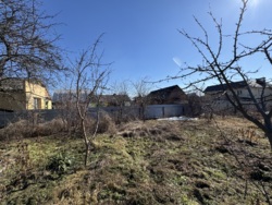 🌿 ������ �������� ������ �� ���������� � ����������� ������ ���� ���� 1