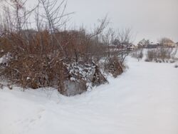 ������ �������� ������. ���� 4