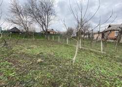 ������ �������� ������ �� ������� �������� �� ���. ������� ���� 4