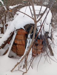 ������ �������� ������. ���� 10