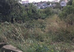 ������ �������� ������ �� ������� �������� ���� 11