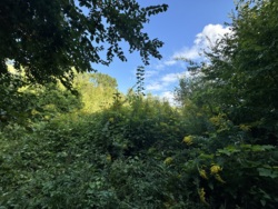 ĳ����� �������� ���� 6