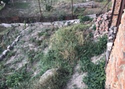 ������ �������� ������ �� ������� �������� ���� 4