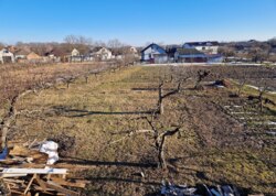 ������ �������� ������ �� ������� �������� ���� 1