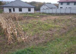 ������ �������� ������ �� ������� �������� ���� 6