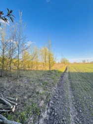 ĳ����� �������� ���� 4