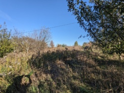 🏞    6     '' 🌿  13