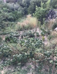 ������ �������� ������ �� ������� �������� ���� 5