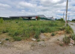 ������ �������� ������ ������������ ����������� �� ����������� ����, ����� 24 ����� ���� 5