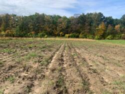 Продаж ділянки в с. Сосонка фото 9 Продаж ділянки в с. Сосонка фото 9