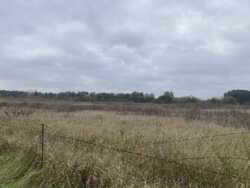 Продаж земельної ділянки в селі Селище фото 2 Продаж земельної ділянки в селі Селище фото 2