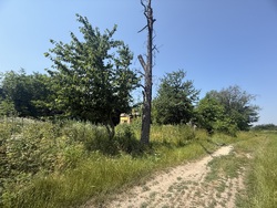 Продається ділянка Тростянець, Тиврівський, Вінницька фото 9 Продається ділянка Тростянець, Тиврівський, Вінницька фото 9