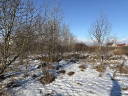 �������� ������ �� ���������� ���� 6