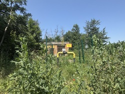 Продається ділянка Тростянець, Тиврівський, Вінницька фото 7 Продається ділянка Тростянець, Тиврівський, Вінницька фото 7