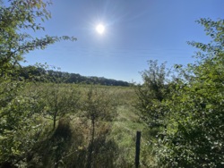       4,3             ,      !  13