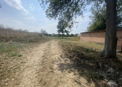 ������ �������� ���� �� ��������. ���� 20